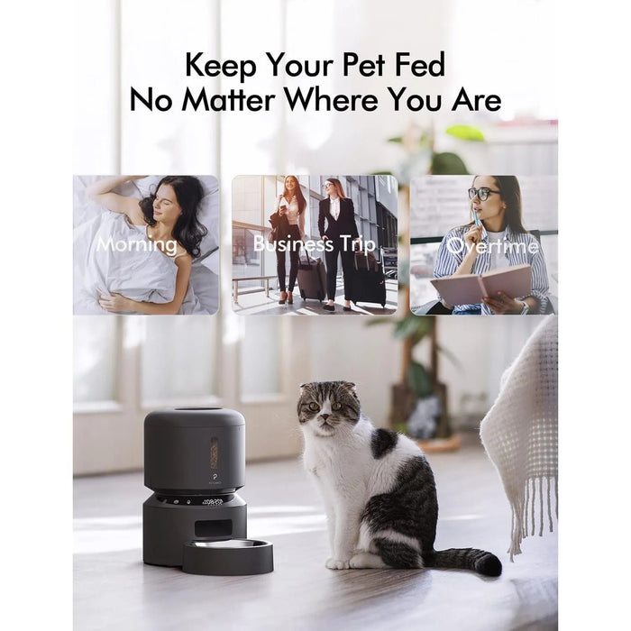 Alimentador Automático 3 L ideal para Gatos, com gravação de voz 10 seg, até 50 porções 6 refeições por dia, com tigela de aço inoxidável e tampa Twist Lock - PetDoctors - Loja Online