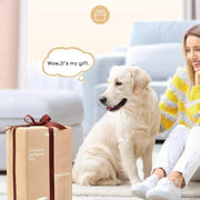Alimentador Automático - Comedouro para Gatos ou Cães, com Temporizador, Ecrã LCD, Controlo de Porções - 7 litros - Até 4 refeições diárias - PetDoctors - Loja Online