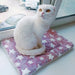 🐶🐱 Almofada / Base de Cama / Manta em FLANELA MACIA e QUENTINHA para Cães ou Gatos ✅ - PetDoctors - Loja Online