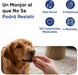 Animigo Multivitaminas e Minerais para cão: 18 vitaminas e minerais para apoio imunológico, pele, pêlo e articulações- embalagem 120 biscoitos mastigáveis - PetDoctors - Loja Online