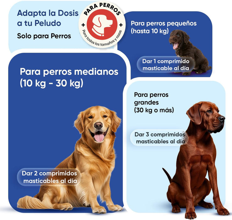 Animigo Multivitaminas e Minerais para cão: 18 vitaminas e minerais para apoio imunológico, pele, pêlo e articulações- embalagem 120 biscoitos mastigáveis - PetDoctors - Loja Online
