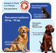 Animigo Multivitaminas e Minerais para cão: 18 vitaminas e minerais para apoio imunológico, pele, pêlo e articulações- embalagem 120 biscoitos mastigáveis - PetDoctors - Loja Online