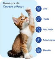Animigo Multivitaminas e Minerais para gato: 18 vitaminas e minerais para apoio imunológico, pele, pêlo e articulações- embalagem 120 biscoitos mastigáveis - PetDoctors - Loja Online