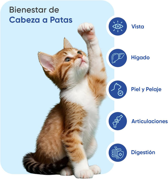 Animigo Multivitaminas e Minerais para gato: 18 vitaminas e minerais para apoio imunológico, pele, pêlo e articulações- embalagem 120 biscoitos mastigáveis - PetDoctors - Loja Online