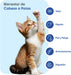 Animigo Multivitaminas e Minerais para gato: 18 vitaminas e minerais para apoio imunológico, pele, pêlo e articulações- embalagem 120 biscoitos mastigáveis - PetDoctors - Loja Online