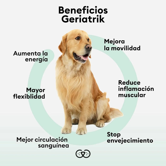 ANIMO - COMPLEXE | Articulações cães idosos | Articulações suplementos cães | anti - inflamatório cães, melhora a mobilidade e agilidade - PetDoctors - Loja Online