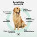 ANIMO - COMPLEXE | Articulações cães idosos | Articulações suplementos cães | anti - inflamatório cães, melhora a mobilidade e agilidade - PetDoctors - Loja Online