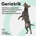 ANIMO - COMPLEXE | Articulações cães idosos | Articulações suplementos cães | anti - inflamatório cães, melhora a mobilidade e agilidade - PetDoctors - Loja Online