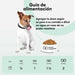 ANIMO - COMPLEXE | Articulações cães idosos | Articulações suplementos cães | anti - inflamatório cães, melhora a mobilidade e agilidade - PetDoctors - Loja Online