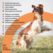 ANIMO - COMPLEXE Condroprotetor para cães, harpagófito para cães, rico em ómega 3, glucosamina, condroitina, açafrão, boswelia, MSM e Vit.E | Melhora a flexibilidade e regeneração da cartilagem - PetDoctors - Loja Online