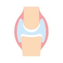 ANIMO - COMPLEXE Condroprotetor para cães, harpagófito para cães, rico em ómega 3, glucosamina, condroitina, açafrão, boswelia, MSM e Vit.E | Melhora a flexibilidade e regeneração da cartilagem - PetDoctors - Loja Online