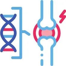 ANIMO - COMPLEXE Condroprotetor para cães, harpagófito para cães, rico em ómega 3, glucosamina, condroitina, açafrão, boswelia, MSM e Vit.E | Melhora a flexibilidade e regeneração da cartilagem - PetDoctors - Loja Online