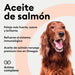 ANIMO - COMPLEXE | Óleo de salmão para cães | rico em ômega 3, 6 e 9 | Melhora e reduz a queda de pelo - PetDoctors - Loja Online