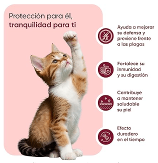 Antiparasitário em pó para gatos, proteção natural formulado com ingredientes naturais, vitaminas grupo B e zinco (100 gramas) - PetDoctors - Loja Online
