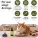 Antiparasitário interno para cães e gatos - 120 ml - solução líquida para desparasitação interna - PetDoctors - Loja Online