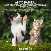 Antiparasitário interno para cães e gatos - 120 ml - solução líquida para desparasitação interna - PetDoctors - Loja Online