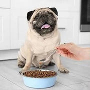 Antiparasitário interno para cães e gatos - 120 ml - solução líquida para desparasitação interna - PetDoctors - Loja Online