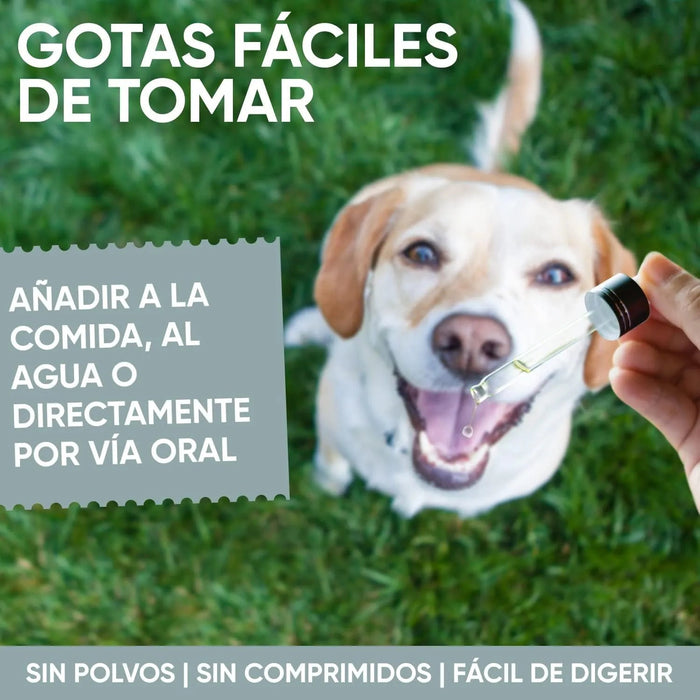 Antiparasitário interno para cães e gatos - 120 ml - solução líquida para desparasitação interna - PetDoctors - Loja Online