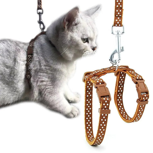 Arnês com Trela para Gatos - PetDoctors - Loja Online