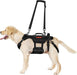 Arnês de apoio para cães, arnês de elevação para cães com 3 alças ajustáveis, removíveis e correias traseiras para as patas - PetDoctors - Loja Online