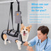 Arnês de elevação para cães, arnês de corpo inteiro cão, arnês de apoio para cães, macio, impermeável, ajustável, refletor, respirável, cinzento - PetDoctors - Loja Online