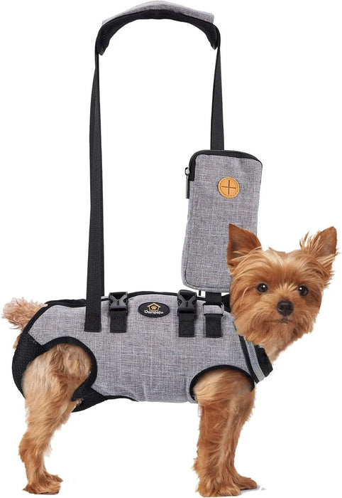 Arnês de elevação para cães, arnês de corpo inteiro cão, arnês de apoio para cães, macio, impermeável, ajustável, refletor, respirável, cinzento - PetDoctors - Loja Online