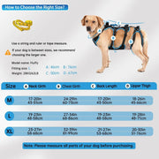 Arnês de elevação para cães grandes – Arnês de suporte destacável 2 em 1, Sling para suporte de patas traseiras de cães grandes (preto, extra grande) - PetDoctors - Loja Online