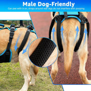 Arnês de elevação para cães grandes – Arnês de suporte destacável 2 em 1, Sling para suporte de patas traseiras de cães grandes (preto, extra grande) - PetDoctors - Loja Online
