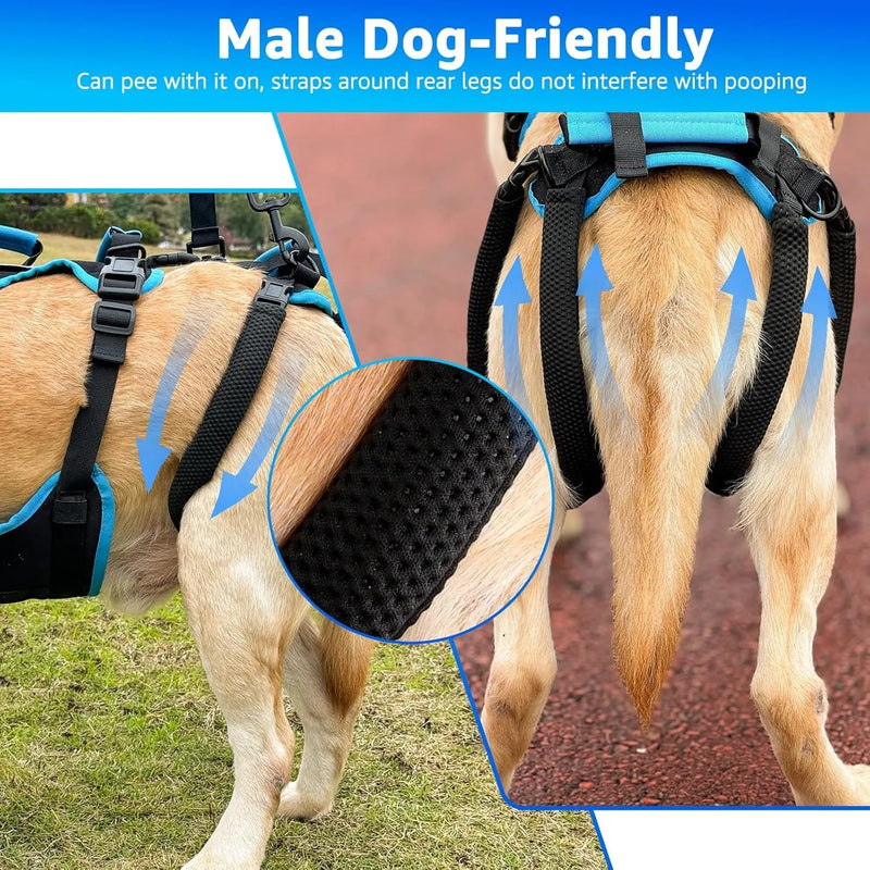 Arnês de elevação para cães grandes – Arnês de suporte destacável 2 em 1, Sling para suporte de patas traseiras de cães grandes (preto, extra grande) - PetDoctors - Loja Online
