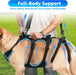 Arnês de elevação para cães grandes – Arnês de suporte destacável 2 em 1, Sling para suporte de patas traseiras de cães grandes (preto, extra grande) - PetDoctors - Loja Online