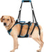 Arnês de elevação para cães grandes – Arnês de suporte destacável 2 em 1, Sling para suporte de patas traseiras de cães grandes (preto, extra grande) - PetDoctors - Loja Online