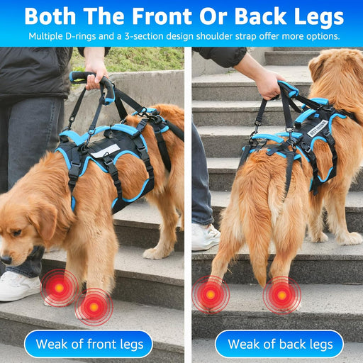 Arnês de elevação para cães grandes – Arnês de suporte destacável 2 em 1, Sling para suporte de patas traseiras de cães grandes (preto, extra grande) - PetDoctors - Loja Online