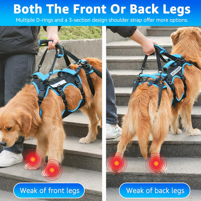 Arnês de elevação para cães grandes – Arnês de suporte destacável 2 em 1, Sling para suporte de patas traseiras de cães grandes (preto, extra grande) - PetDoctors - Loja Online