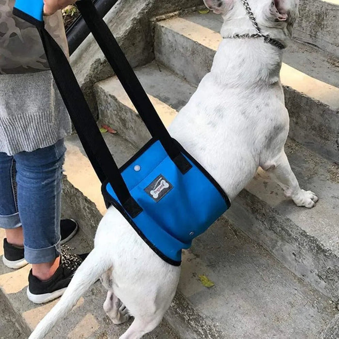 Arnês de reabilitação de apoio para cães - ajuda auxiliar para animais idosos ou com lesões - PetDoctors - Loja Online