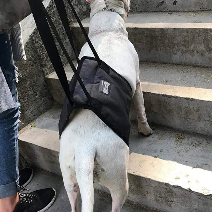Arnês de reabilitação de apoio para cães - ajuda auxiliar para animais idosos ou com lesões - PetDoctors - Loja Online