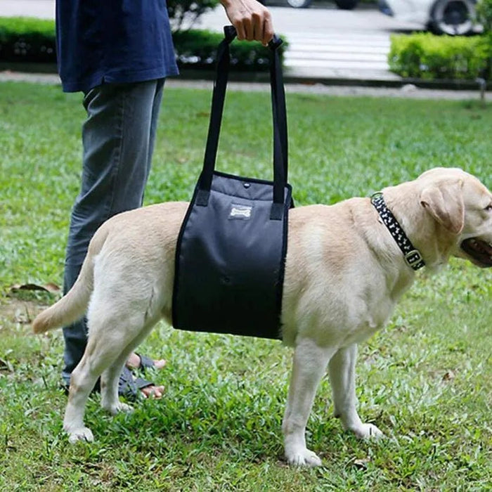 Arnês de reabilitação de apoio para cães - ajuda auxiliar para animais idosos ou com lesões - PetDoctors - Loja Online