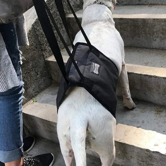 Arnês de reabilitação de apoio para cães - ajuda auxiliar para animais idosos ou com lesões - PetDoctors - Loja Online