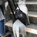 Arnês de reabilitação de apoio para cães - ajuda auxiliar para animais idosos ou com lesões - PetDoctors - Loja Online