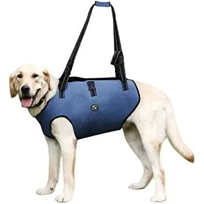 Arnês de suporte para cães idosos, incapacitados ou com lesões nas articulações - para reabilitação - ajustável e acolchoado - PetDoctors - Loja Online