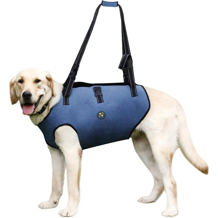 Arnês de suporte para cães idosos, incapacitados ou com lesões nas articulações - para reabilitação - ajustável e acolchoado - PetDoctors - Loja Online