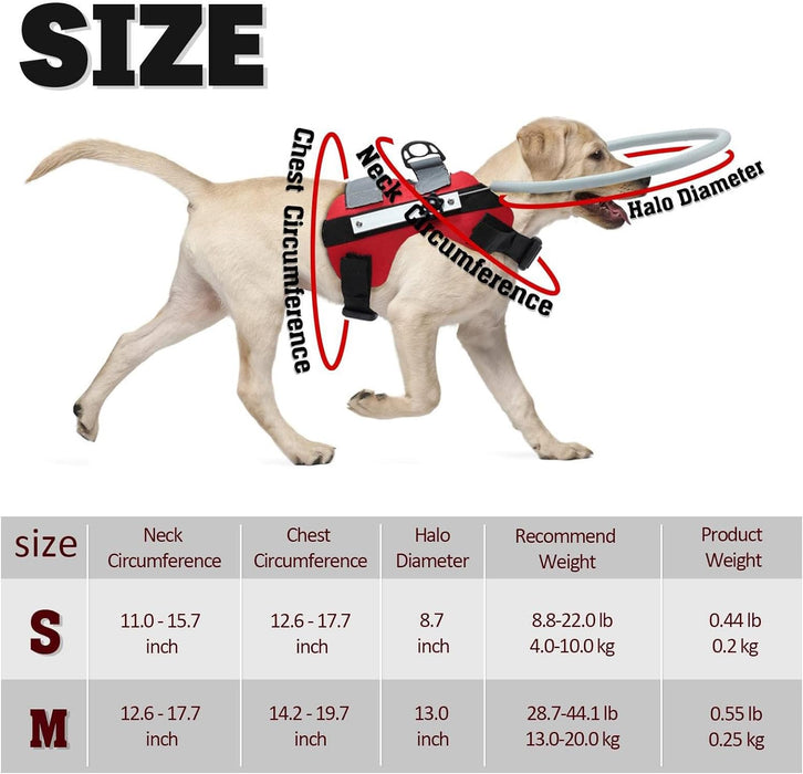 Arnês para Cães Cegos - Arnês para para cães com má visão ou cegos - círculo anticolisão para andar ao ar livre ou em casa - PetDoctors - Loja Online