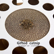 Arranhador / Brinquedo / Puzzle para Gatos - PetDoctors - Loja Online