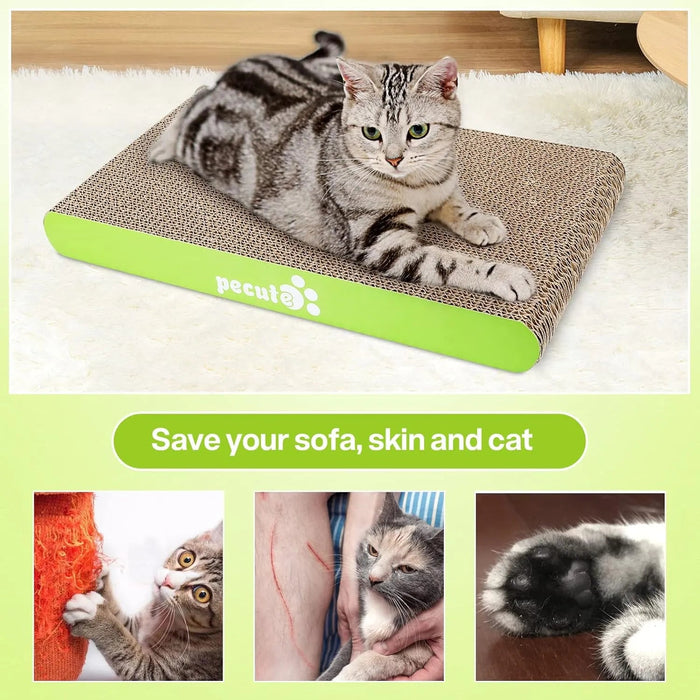 Arranhador para gatos com erva - gateira, tapete arranhador, suporte de bambu natural, com 4 ventosas resistentes e substituíveis - PetDoctors - Loja Online