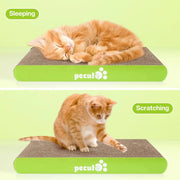Arranhador para gatos com erva - gateira, tapete arranhador, suporte de bambu natural, com 4 ventosas resistentes e substituíveis - PetDoctors - Loja Online