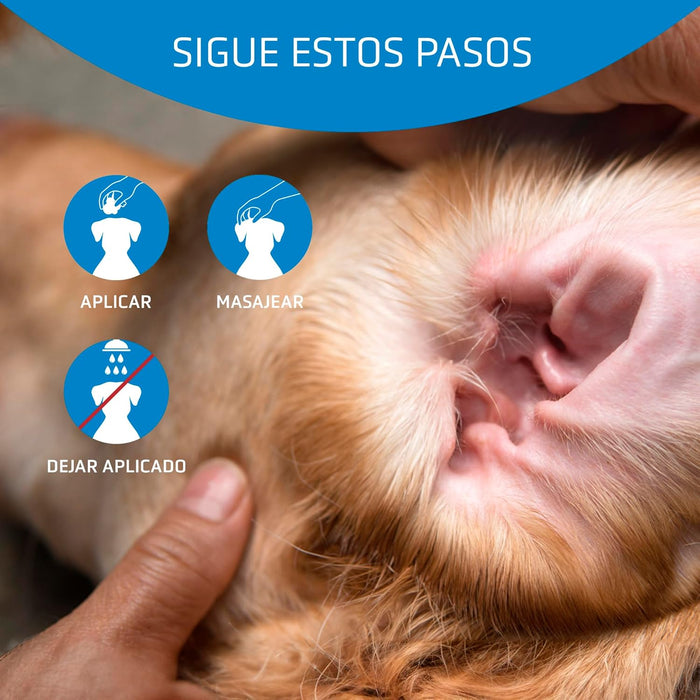 Artero Auriclean. Pó anti - séptico para remover os pêlos dos ouvidos de cães - PetDoctors - Loja Online