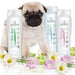 Artero Champô Relax 5000ml - 5 litros - Hipoalergénico. - PetDoctors - Loja Online
