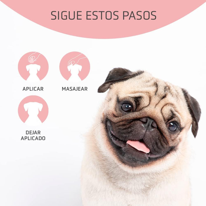 ARTERO Dfender. A solução para almofadas das patas danificadas e narizes rachados em cães - PetDoctors - Loja Online