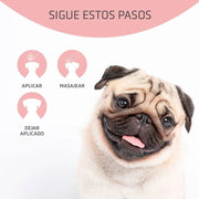 ARTERO Dfender. A solução para almofadas das patas danificadas e narizes rachados em cães - PetDoctors - Loja Online