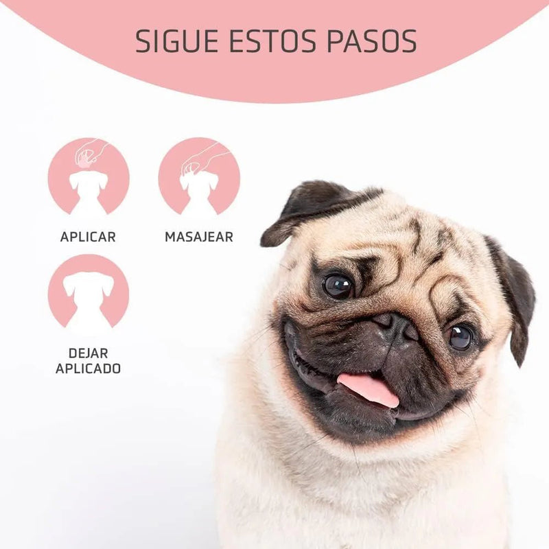ARTERO Dfender. A solução para almofadas das patas danificadas e narizes rachados em cães - PetDoctors - Loja Online