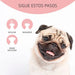 ARTERO Dfender. A solução para almofadas das patas danificadas e narizes rachados em cães - PetDoctors - Loja Online